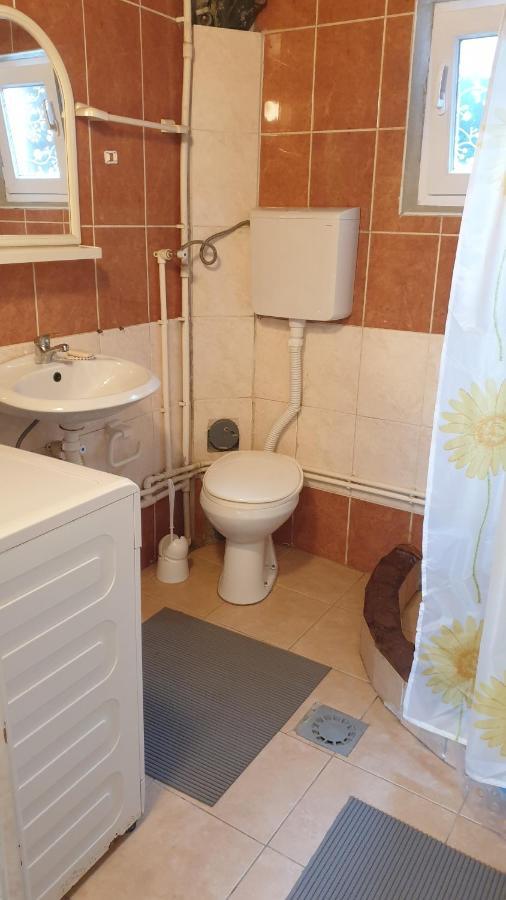 Apartman Sava Nisz Zewnętrze zdjęcie
